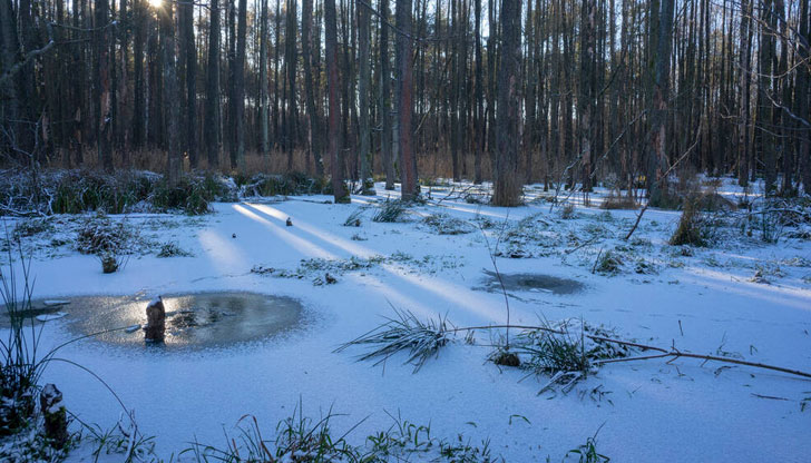 Успяват да спасят 23-годишния му синМъж от велинградското село Драгиново
