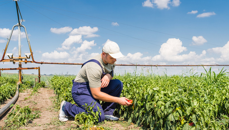 До 31 януари се удължава приемът на проекти за финансова