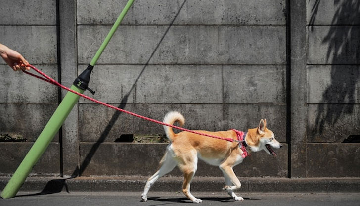 Останалите налози към Общината се вдигатРъст на данъците в Кюстендил.