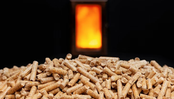 Има нарастващи доказателства за това разкри платформата за новини и