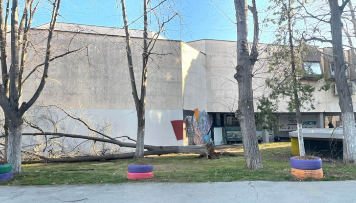 Пориви на вятъра с над 130 км/ч нанасят щети в