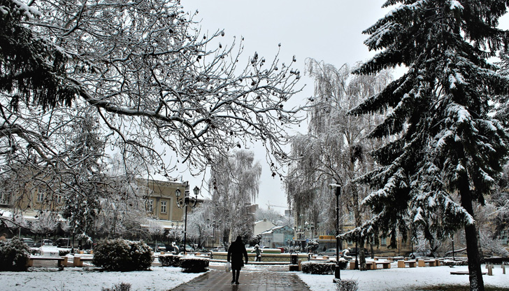 Делът на положителните проби в страната е едва 1,49 процентаВ