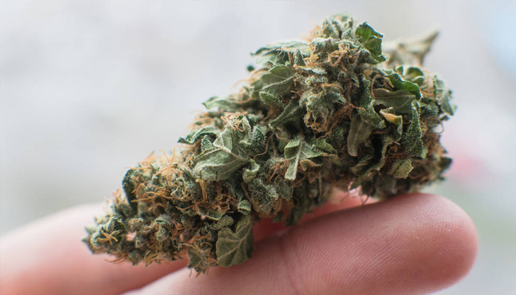 Наркотикът е бил укрит в чушкиНа 29 януари в затвора