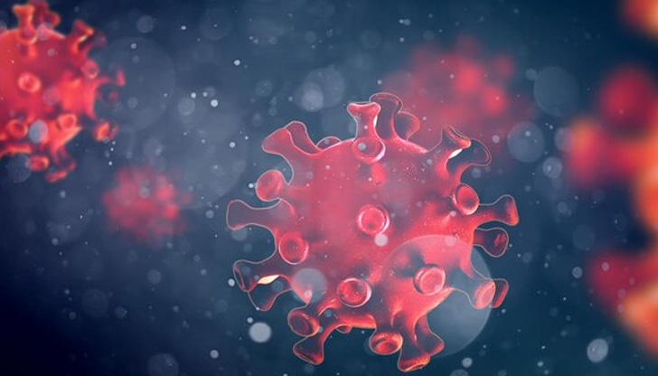 През последното денонощие няма починали заразени с вирусаВ Русенско има