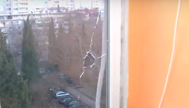 За късмет, децата за първи път не са наблюдавали празничните