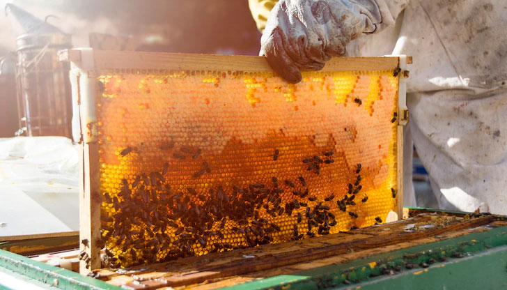 Пробивът увеличава надеждите за ново оръжие срещу болестите, редовно опустошаващи