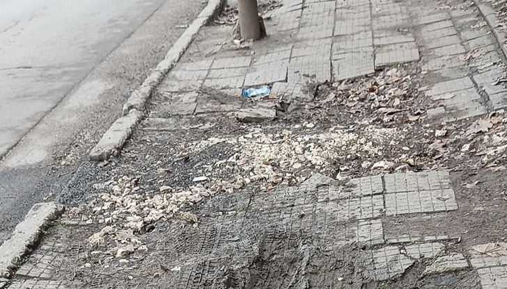 Емблематичният с архитектурата си град Русе постепенно се превръща в