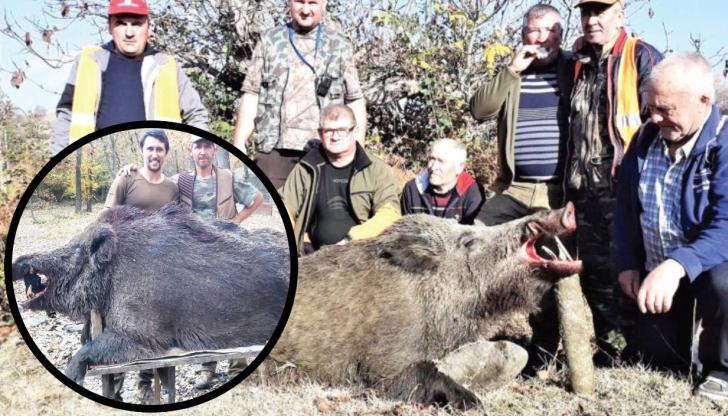 Огромното животно е повалено в местността КаракашЛовец от дружинката в