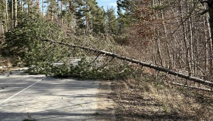 Трафикът се регулира от Пътна полиция Проходът Петрохан“ е затворен