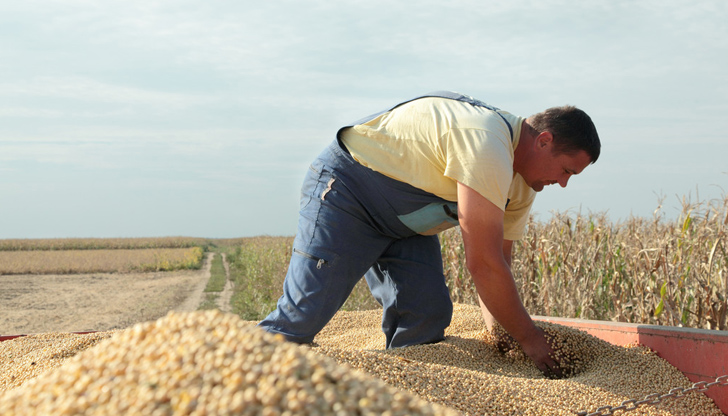 Има вероятност българските плодове и зеленчуци да са минимален процент