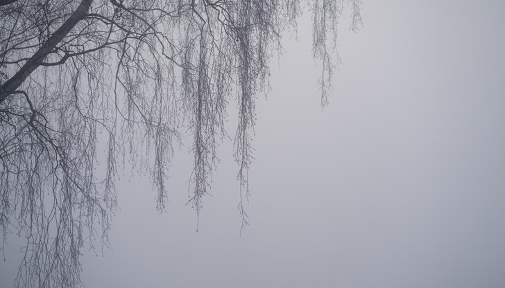 Днес пътищата в страната са предимно мокриОбщо 25 души са