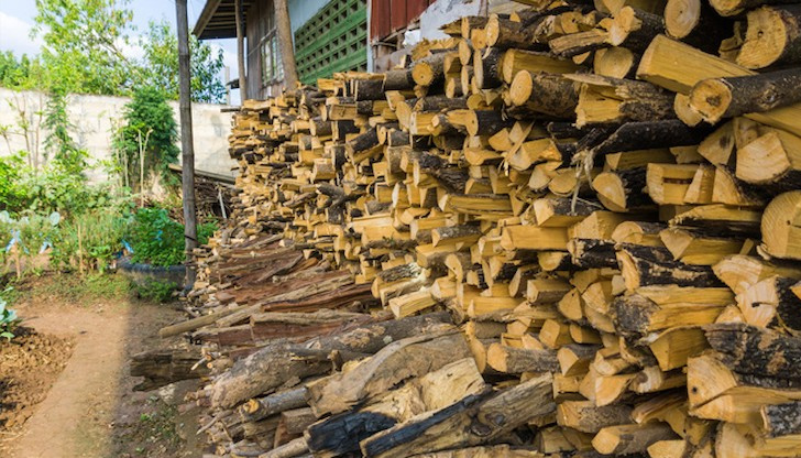 Дървата за огрев са били без контролна горска марка и
