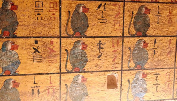 Предполага се, че находката датира от 18-тата династия на фараоните