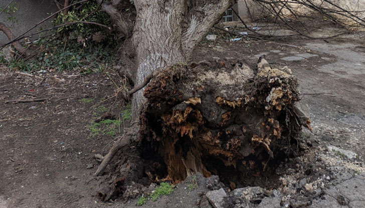 Момичета са седяли на пейка пред блок по време на