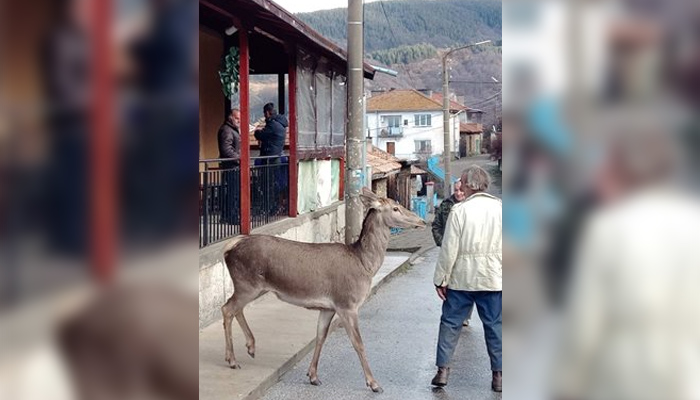 Кошутата стояла близо час при хората в Осиково без да