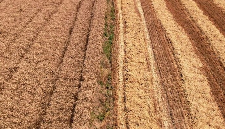 Вдигането на цените на хранителите стоки е заради поскъпването на