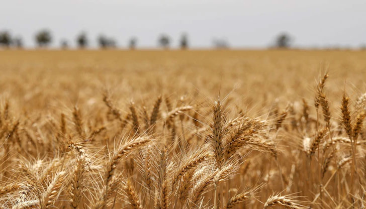 В сектора има много сериозен дебат дали производителите да не