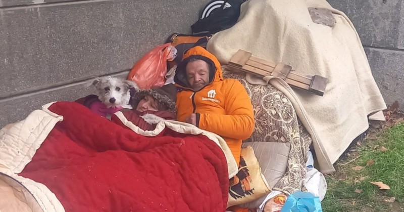 Отказват да влязат в приют, защото не искат да изоставят