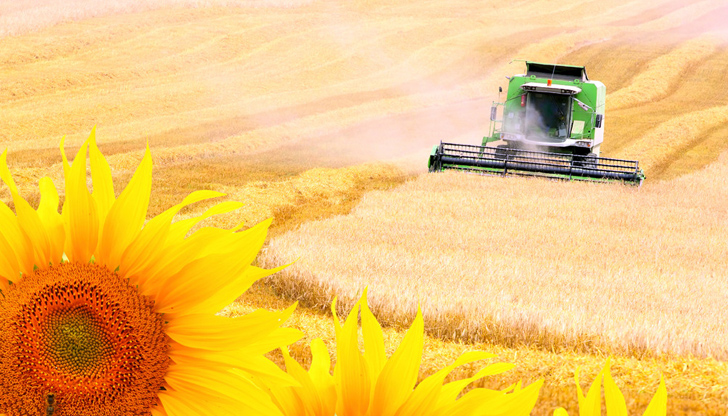 Стоката от Украйна не се проверява за хербициди, а там