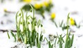 Очаква ни драстична промяна на времето, идва „малката пролет”!