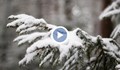 Посрещаме месец март със сняг