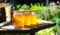 Пчелар: Съветвам хората да използват меда и за храна, защото е изключително полезен