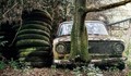Екоинспектори от Община Русе са издали предписания за премахване на близо 400 стари автомобила