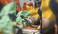 "В 119-ия час отново вярваме в чудеса!": Спасиха момче, заспало с фланелка на "Фенербахче"