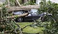 Млад мъж оцеля по чудо след като дърво премаза автомобила му в Харманли