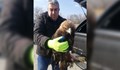 Спасиха пострадал скален орел в района на Бачково