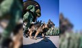 Куче - спасител издъхна в Турция