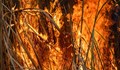 Един хектар сухи треви изгоряха при пожар край село Пиргово