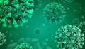 Три нови случая на коронавирус в Русе