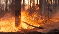Вдишването на дим от горски пожари може да доведе до преждевременно раждане