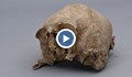 Върнаха череп, откраднат от археологически разкопки