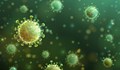 Само 2 нови случая на коронавирус в Русе
