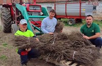Ruse GO подаряват 1500 орехови дръвчета в Русе