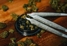 Все повече доказателства сочат че канабисът не е напълно безвреден