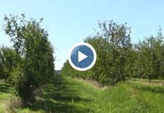 Заради увеличилите се разходи част от производителите се отказват от