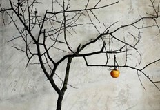 Авторът е син на големия русенски диригент Емил ТабаковПървата изложба