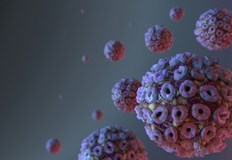 За последния ден са поставени 111 дози ваксини у насВ