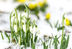 Температурите ще се повишават до плюс 18 градусаПрез предстоящата седмица