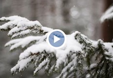 Опасно силен вятър на Сирни ЗаговезниВ почивните дни на Сирни