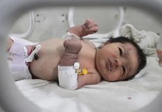 Общо 4 627 бебета са се появили на този свят