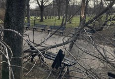 Стихията не подмина и РусеОт сутринта силни пориви на вятъра