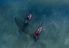 Момичето е било извадено тежко ранено от водата и е