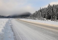 От началото на годината тежките катастрофи са 525 загиналите са