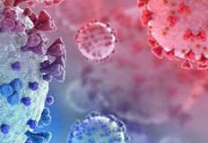 Направени са 2 596 теста в цялата странаВ Русенско новите