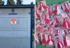 Каузата на сдружение Дунавско сияние е свързана с желанието тази