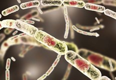 Заразеният мъж е от село Владимирово а заразата дошла от